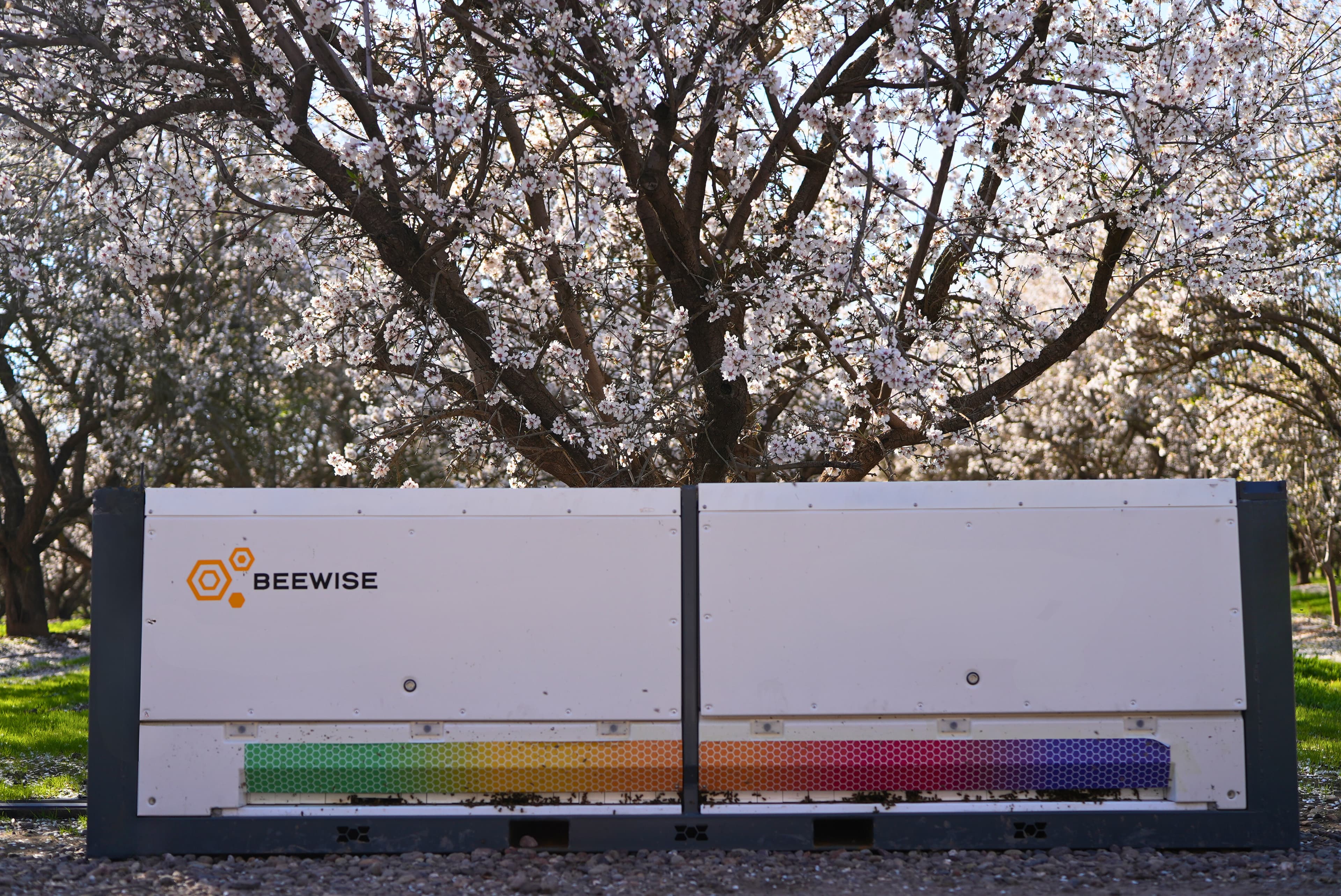 BeeLife Smart Hive