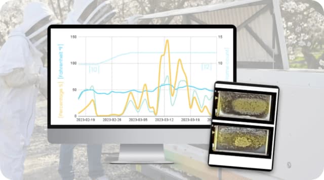Monitoring